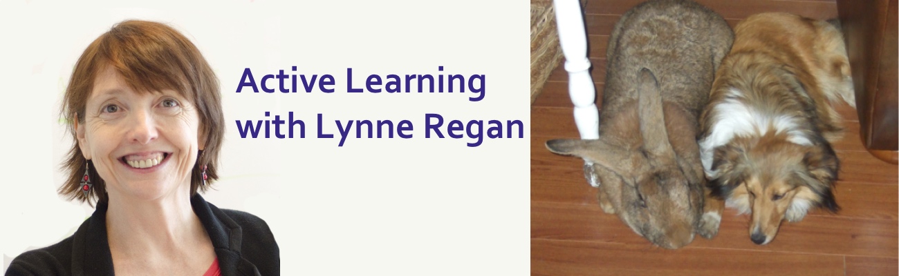 Podcast #13: Active Learning with Lynne Regan
                               