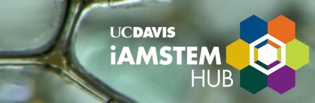 Evidence-based Higher Education at UC Davis' iAMSTEM Hub
                               