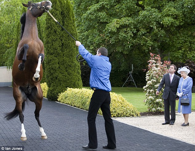 Taking up the reins of a successful class
                               